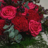 close-up-02.jpg